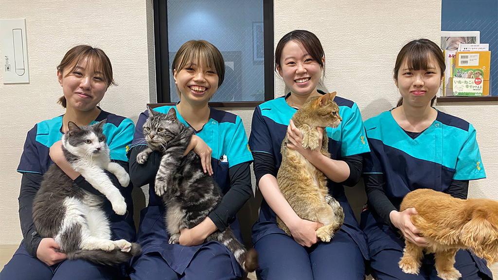 文の里にある動物病院ラスティーの看護師